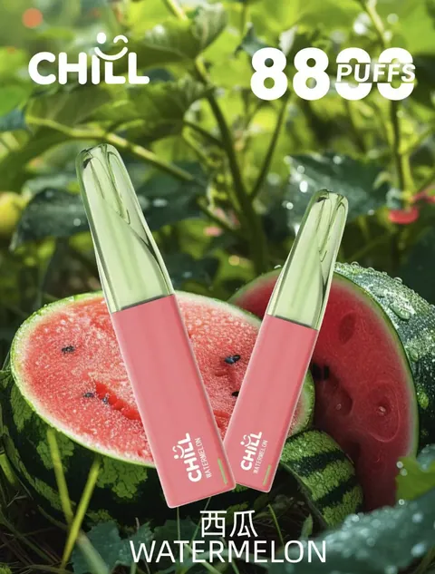 CHILL 鴨嘴獸拋棄式 8800 口 CHILL/8800西瓜